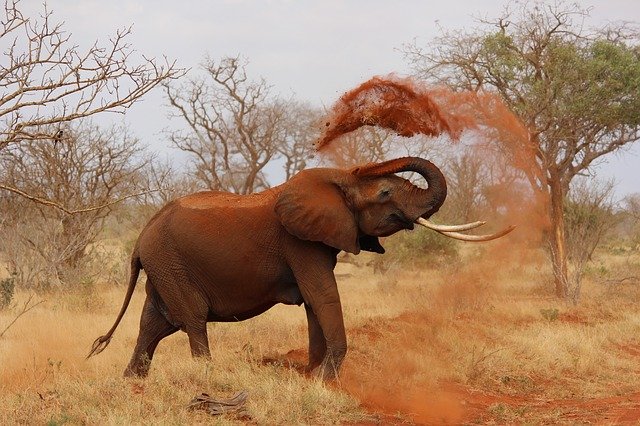 Idée de circuits à réaliser en Tanzanie