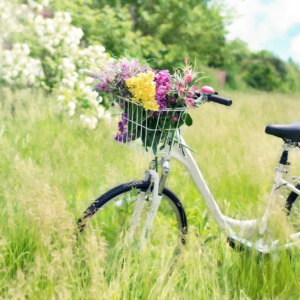 Ou trouver un velo de qualite a brem sur mer ?