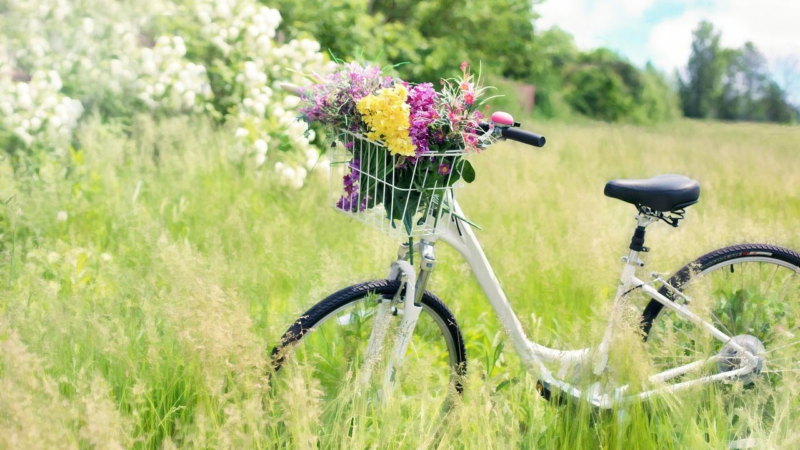 Ou trouver un velo de qualite a brem sur mer ?